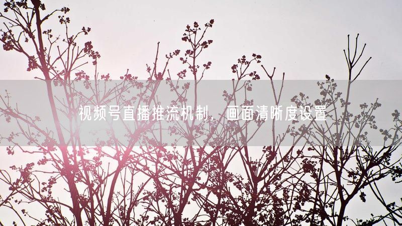 视频号直播推流机制，画面清晰度设置