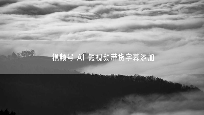 视频号 AI 短视频带货字幕添加