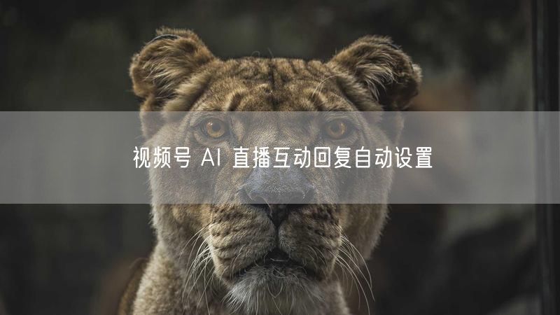 视频号 AI 直播互动回复自动设置
